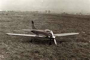 bueckeburg300
