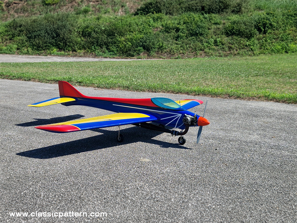 Michael Gebauer`s Leopard 6 jaguar 5