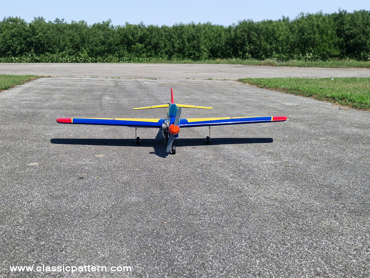 Michael Gebauer`s Leopard 7 jaguar 6